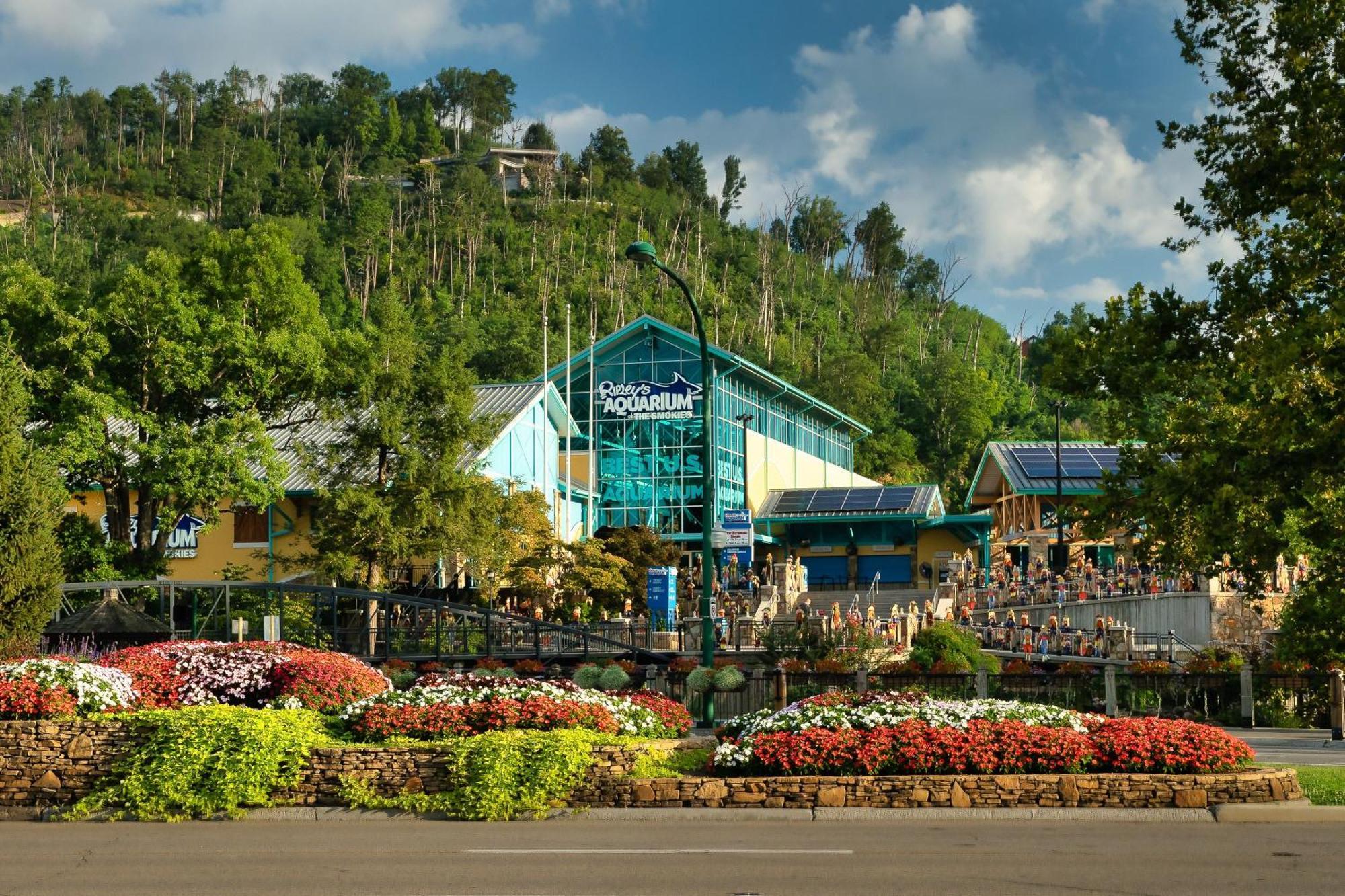 Romance In The Smokies By Distinctive Getaways Villa Gatlinburg Exterior foto